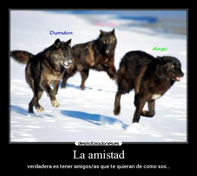 carteles amistad 123456789 desmotivaciones