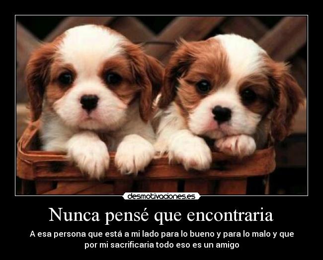 Nunca pensé que encontraria - A esa persona que está a mi lado para lo bueno y para lo malo y que
por mi sacrificaria todo eso es un amigo