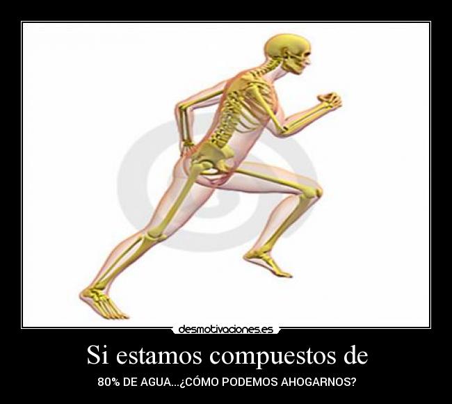 Si estamos compuestos de - 