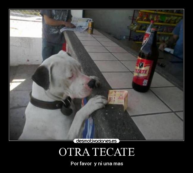 OTRA TECATE - Por favor y ni una mas