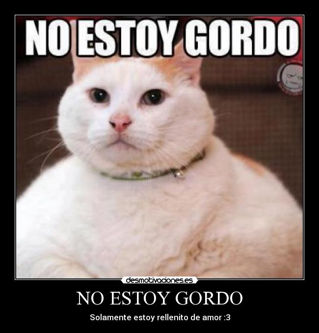 NO ESTOY GORDO - Solamente estoy rellenito de amor :3