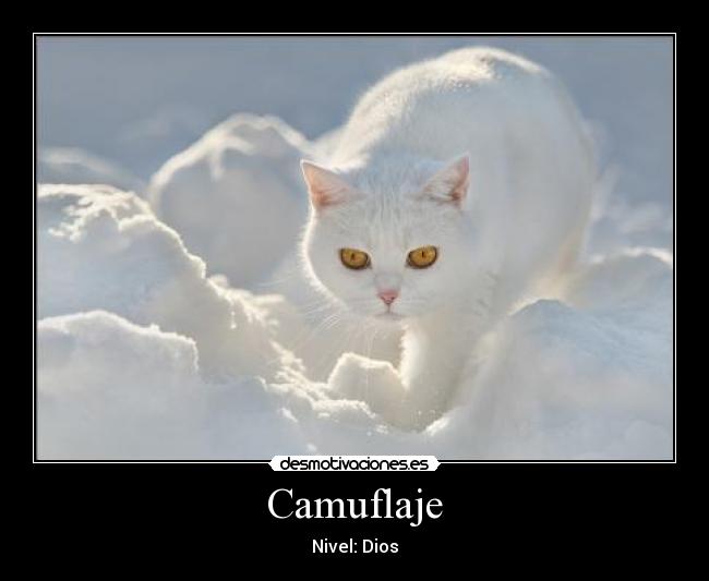 Camuflaje -