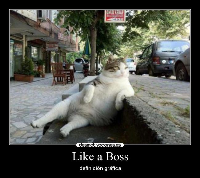 Like a Boss - definición gráfica