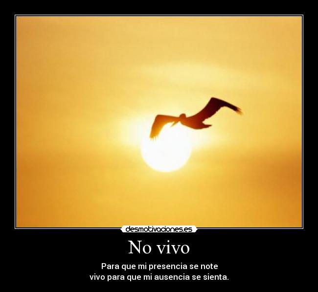 No vivo -