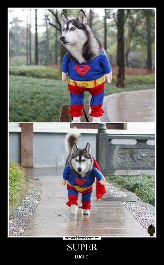 SUPER - LUCHO!