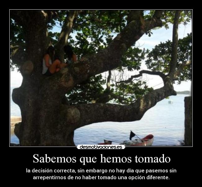 Sabemos que hemos tomado - 