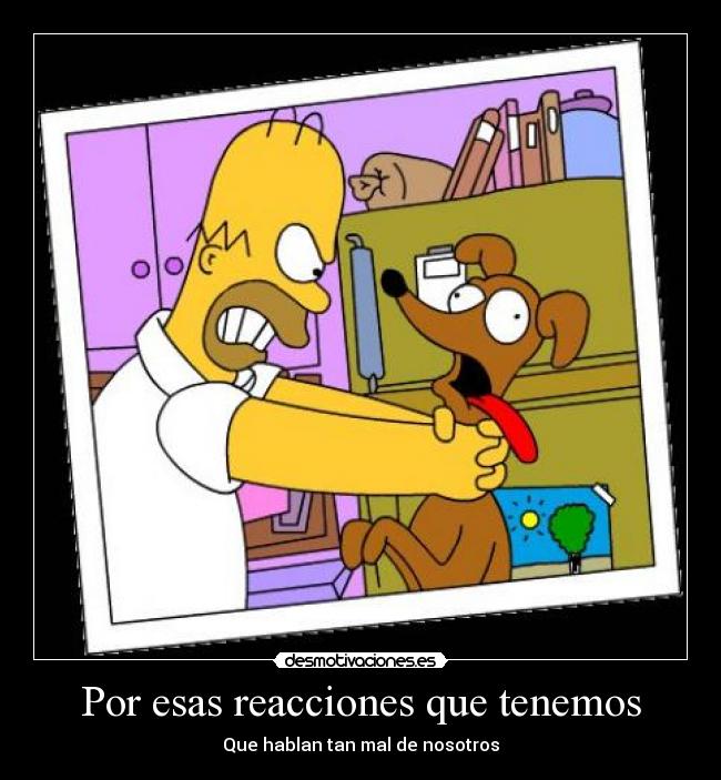 Por esas reacciones que tenemos - Que hablan tan mal de nosotros