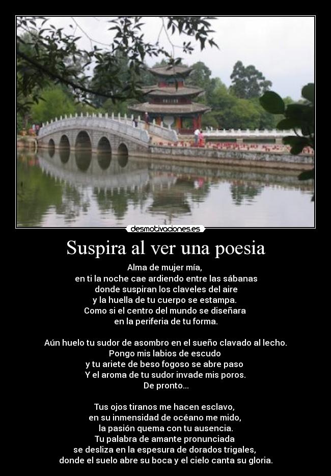 Suspira al ver una poesia - Alma de mujer mía,
en ti la noche cae ardiendo entre las sábanas
donde suspiran los claveles del aire
y la huella de tu cuerpo se estampa.
Como si el centro del mundo se diseñara
en la periferia de tu forma.
Aún huelo tu sudor de asombro en el sueño clavado al lecho.
Pongo mis labios de escudo
y tu ariete de beso fogoso se abre paso
Y el aroma de tu sudor invade mis poros.
De pronto...
Tus ojos tiranos me hacen esclavo,
en su inmensidad de océano me mido,
la pasión quema con tu ausencia.
Tu palabra de amante pronunciada
se desliza en la espesura de dorados trigales,
donde el suelo abre su boca y el cielo canta su gloria.