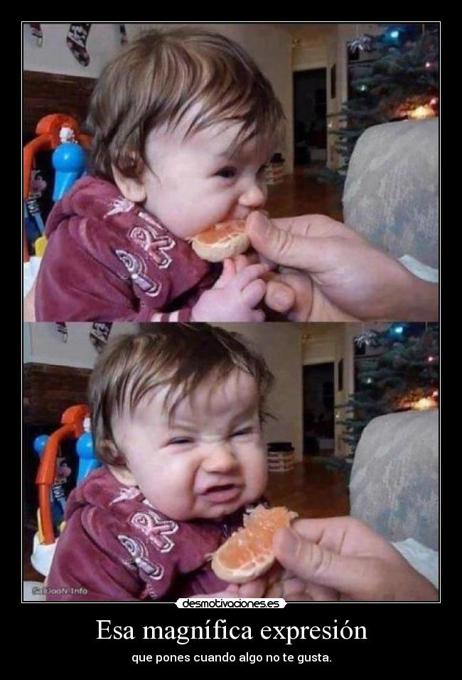 Esa magnífica expresión -