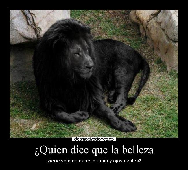 carteles  desmotivaciones