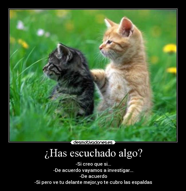 carteles alma pena valentia dudosa muchos clandalfe15 desmotivaciones