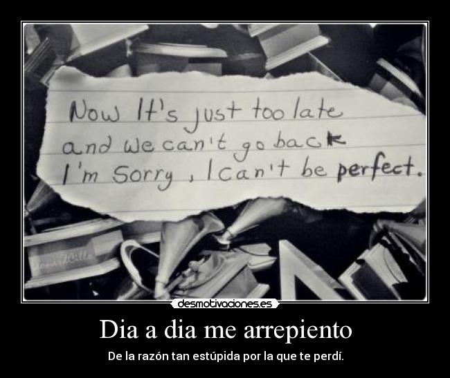 Dia a dia me arrepiento - De la razón tan estúpida por la que te perdí.