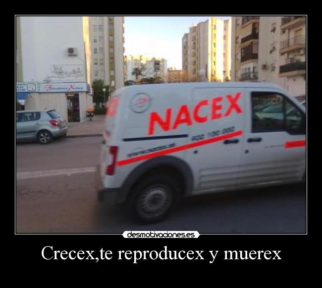 Crecex,te reproducex y muerex - 