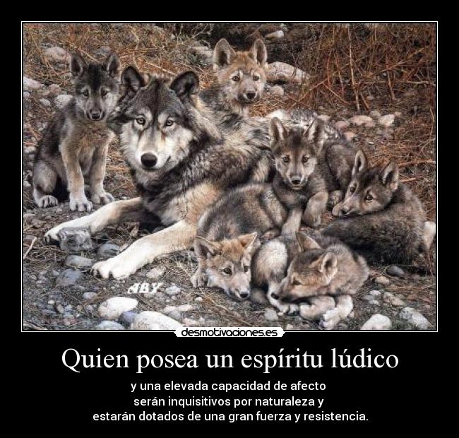 carteles 214 espiritus libres desmotivaciones