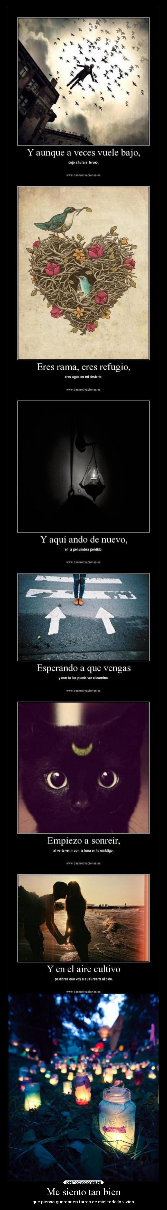 Me siento tan bien - que pienso guardar en tarros de miel todo lo vivido.