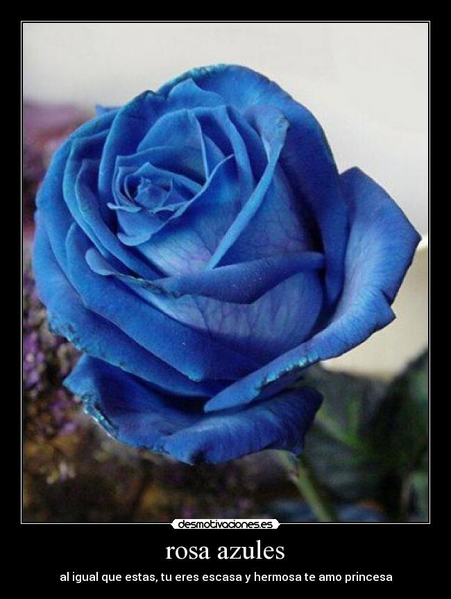 carteles princesa amor oro bien vales corazon triste rosa azules desmotivaciones