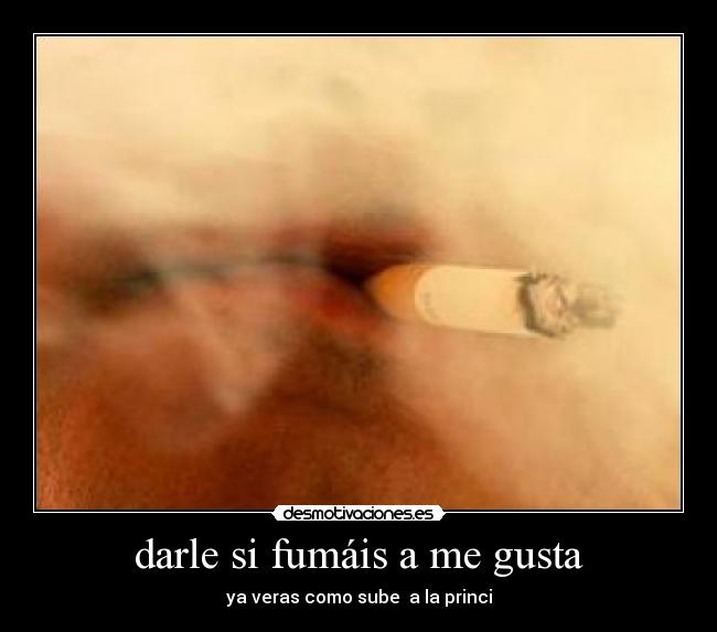 carteles seais mentirosos desmotivaciones