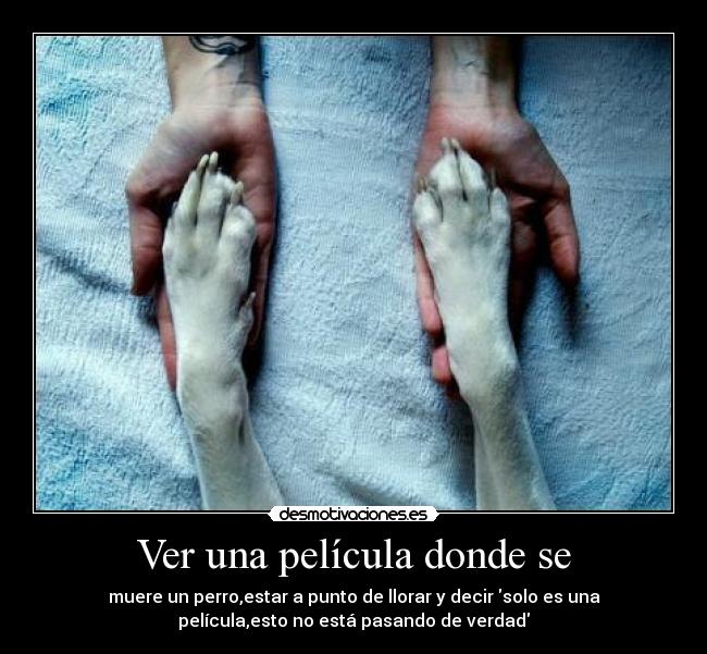 Ver una película donde se - muere un perro,estar a punto de llorar y decir solo es una
película,esto no está pasando de verdad