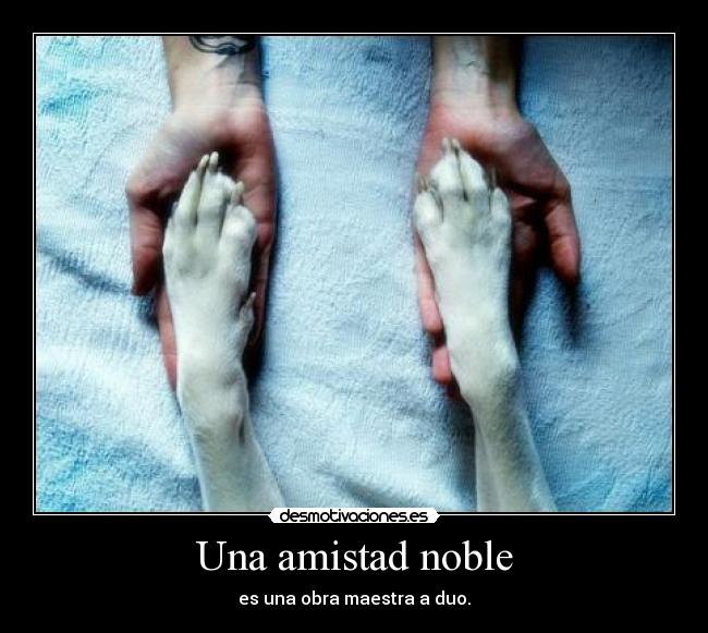 Una amistad noble - es una obra maestra a duo.