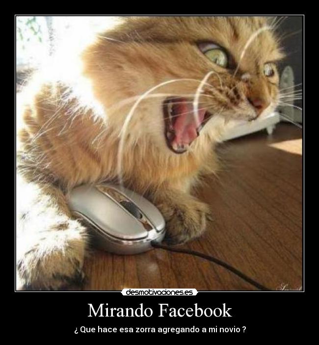 Mirando Facebook -