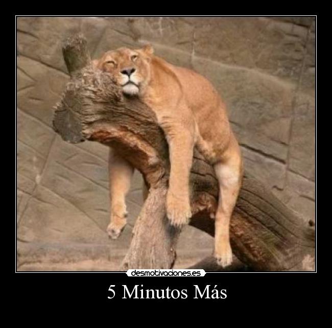 5 Minutos Más -