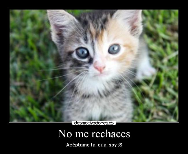 No me rechaces -