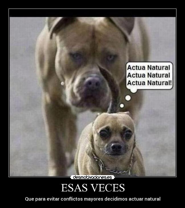 ESAS VECES - Que para evitar conflictos mayores decidimos actuar natural