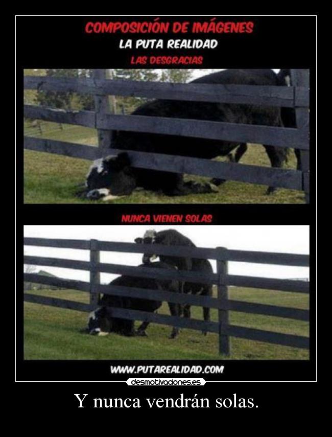 Y nunca vendrán solas. -