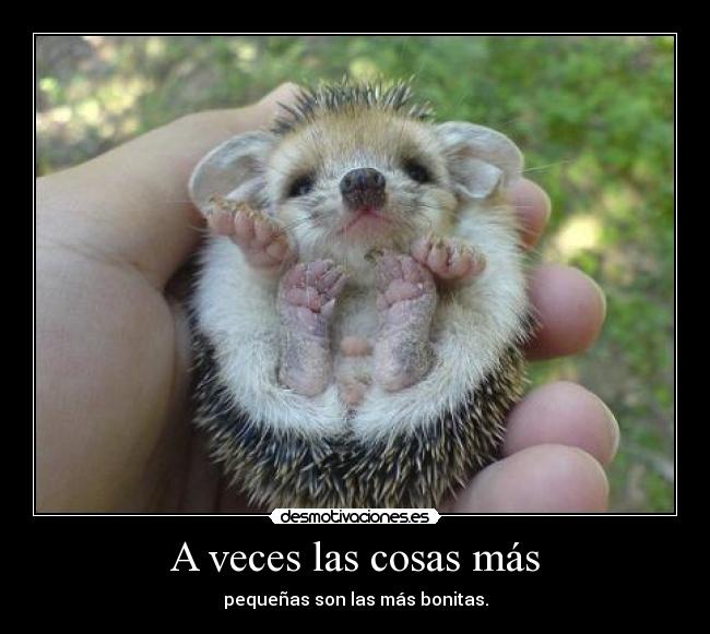 A veces las cosas más - pequeñas son las más bonitas.