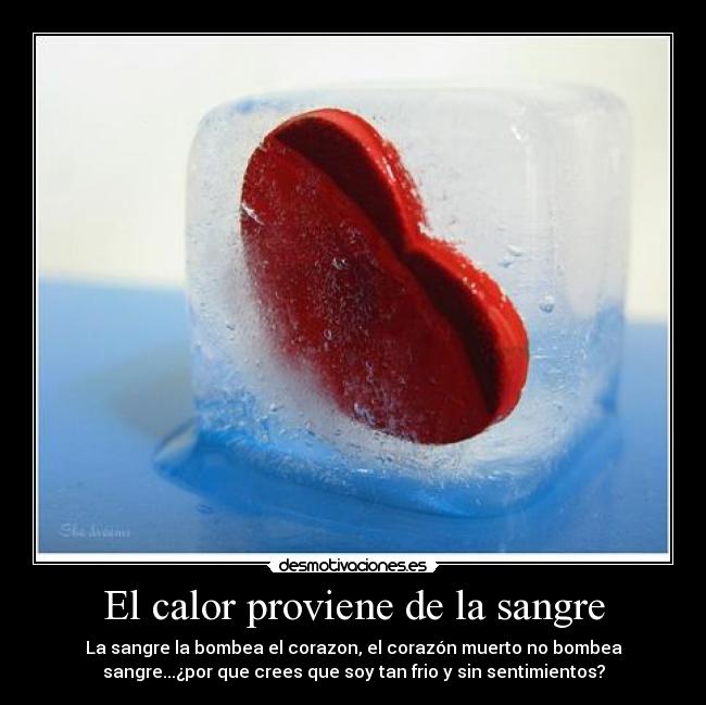 El calor proviene de la sangre - 