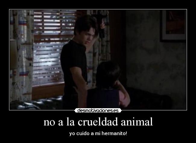 no a la crueldad animal - yo cuido a mi hermanito!