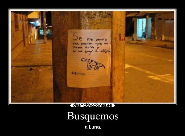 Busquemos - a Luna.