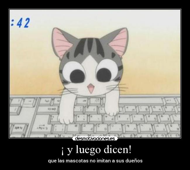 ¡ y luego dicen! - que las mascotas no imitan a sus dueños