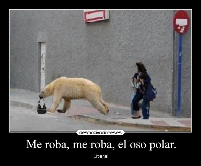 Me roba, me roba, el oso polar. -