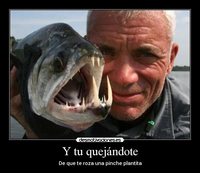 Y tu quejándote - De que te roza una pinche plantita