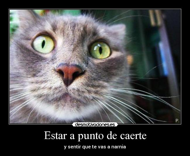 Estar a punto de caerte - y sentir que te vas a narnia