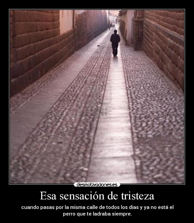 Esa sensación de tristeza - 