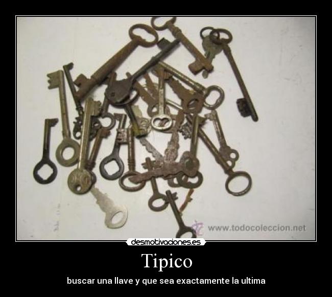 Tipico -