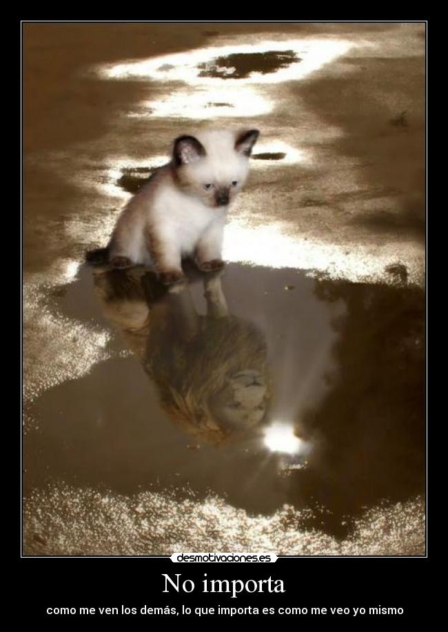 No importa -