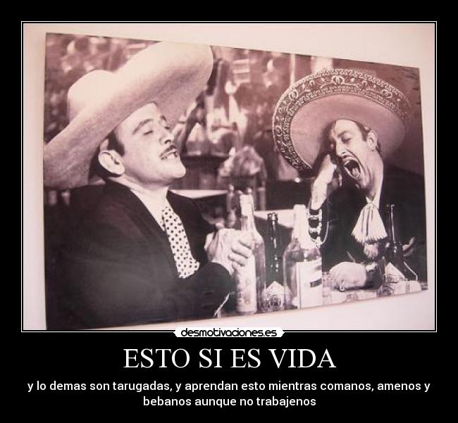 ESTO SI ES VIDA - y lo demas son tarugadas, y aprendan esto mientras comanos, amenos y
bebanos aunque no trabajenos