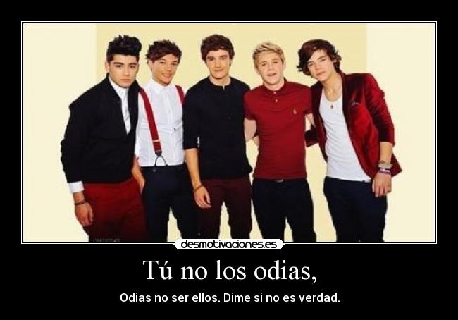 Tú no los odias, -
