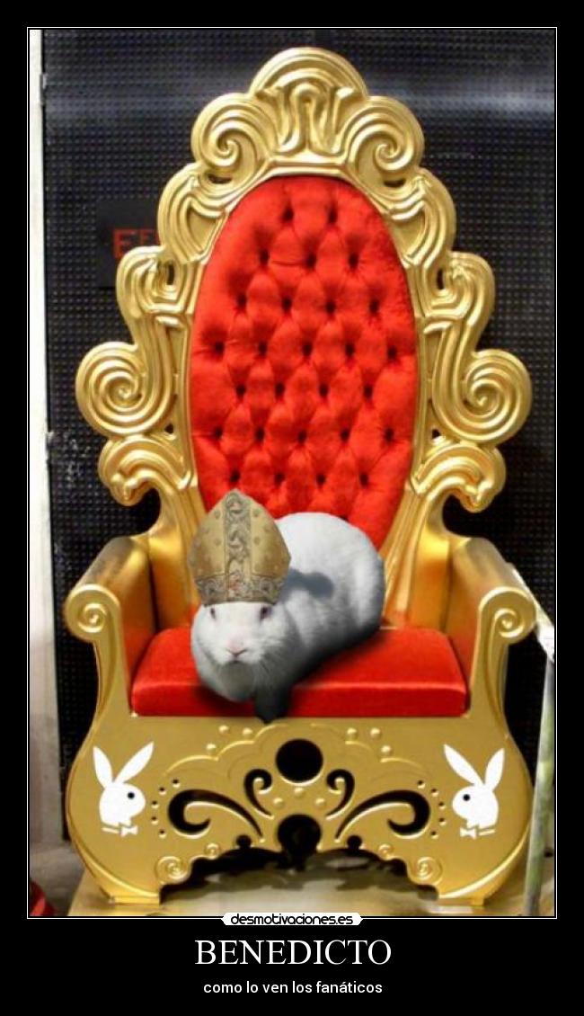 BENEDICTO - como lo ven los fanáticos