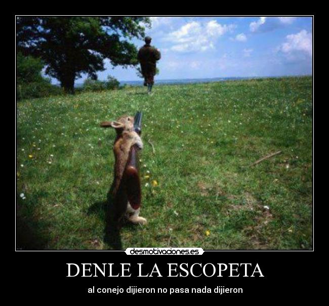 carteles conejos desmotivaciones