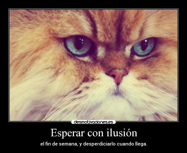 Esperar con ilusión - 