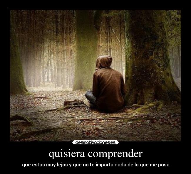 quisiera comprender - que estas muy lejos y que no te importa nada de lo que me pasa