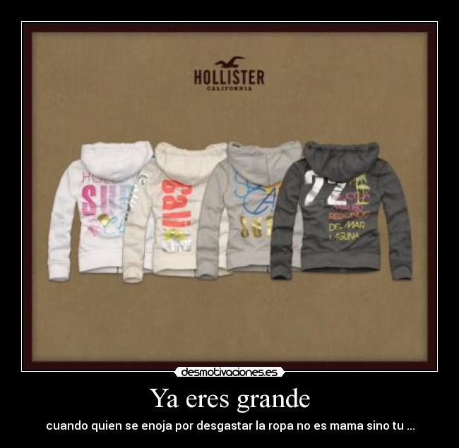 carteles cierto desmotivaciones