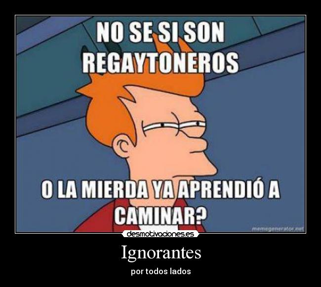 Ignorantes - por todos lados