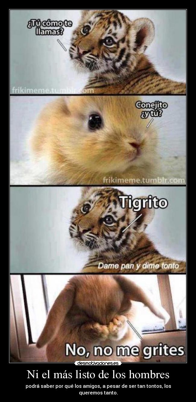 Ni el más listo de los hombres - podrá saber por qué los amigos, a pesar de ser tan tontos, los queremos tanto.