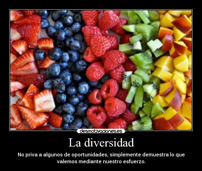 La diversidad - No priva a algunos de oportunidades, simplemente demuestra lo que
valemos mediante nuestro esfuerzo.