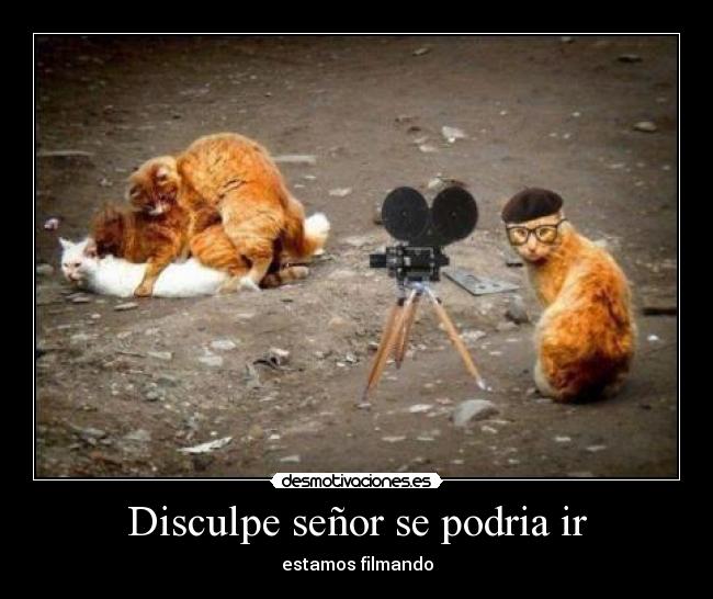 Disculpe señor se podria ir Desmotivaciones